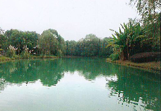 景觀區域微污染水體凈化