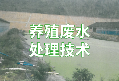 【環(huán)保干貨】養(yǎng)殖廢水如何處理？4個方法，快看你的豬場適合哪一種